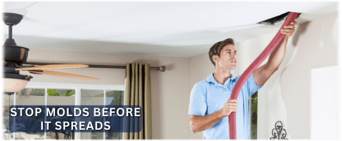 Air Duct Mold Removal in Lawrenceville GA